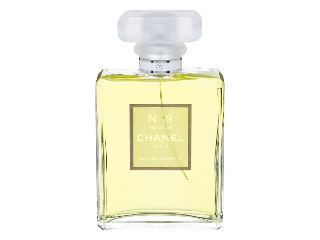 Chanel No. 19 Poudre W Woda perfumowana 100ml-581700